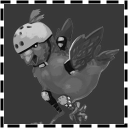 The SkateBIRD
