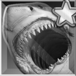 Shark Week