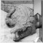 Reptilian Relatives