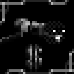 The Chaos Circuits