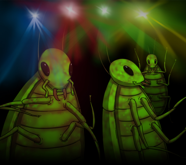 Cockroach Party