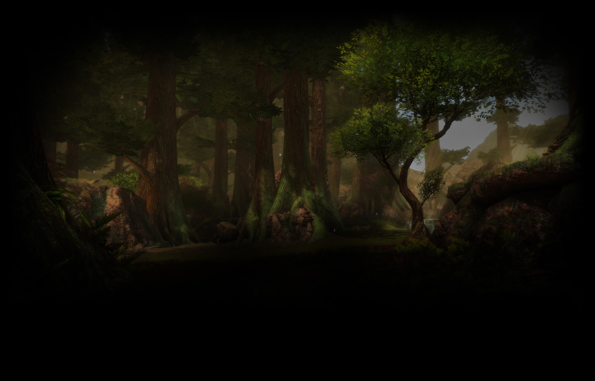 Forest