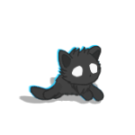Seen cat