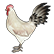 :BLACKTAILCHICKEN: