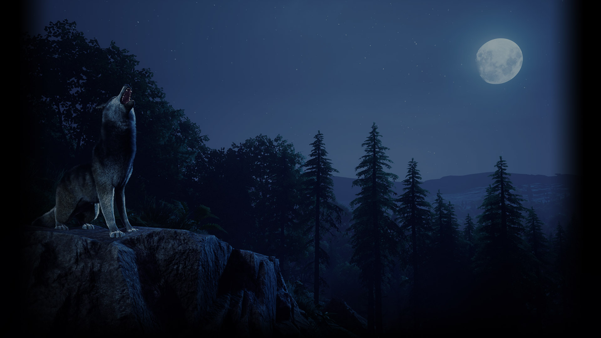 A Night Howl