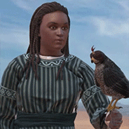 Daura Holding Falcon