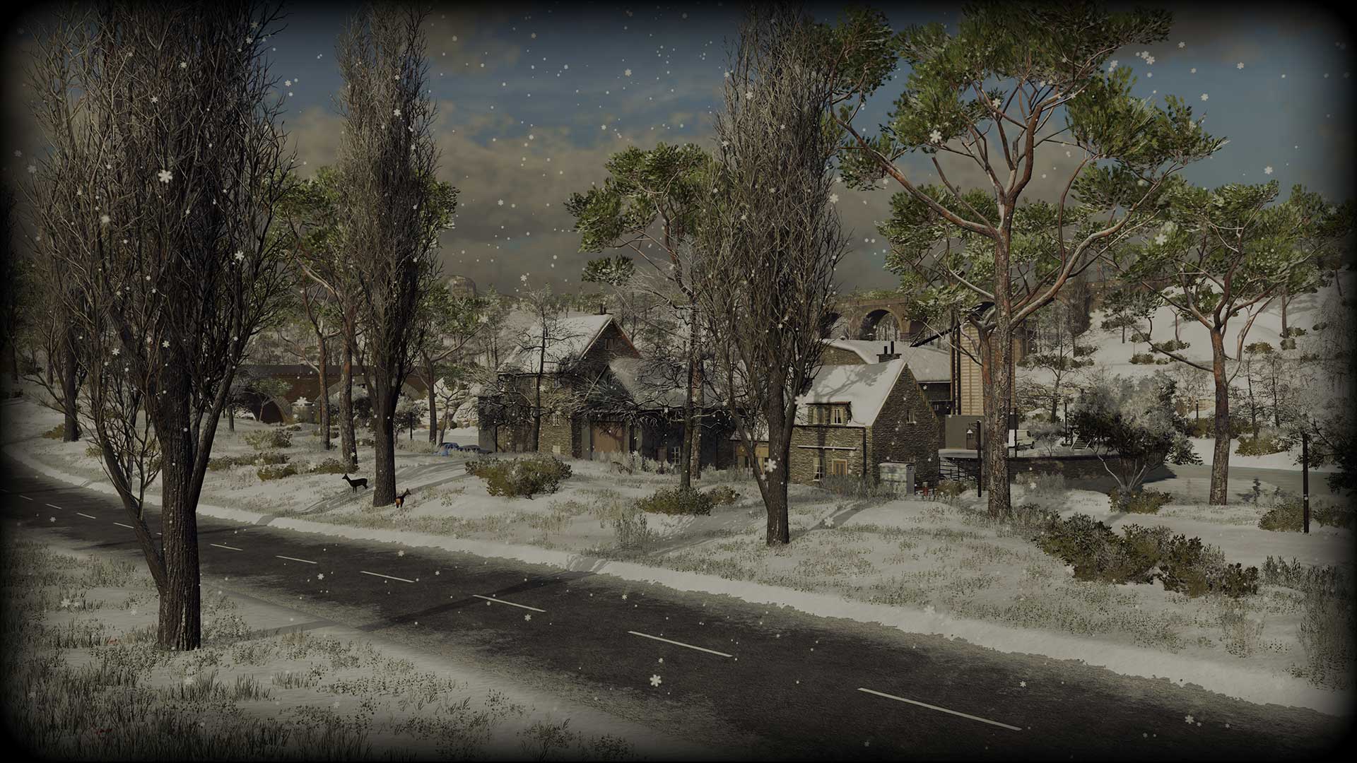Winter