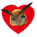 :Ellie_story: