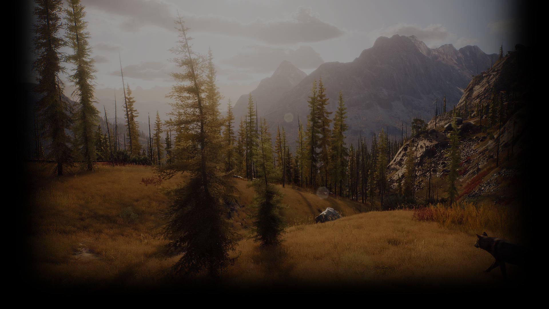 Mountains