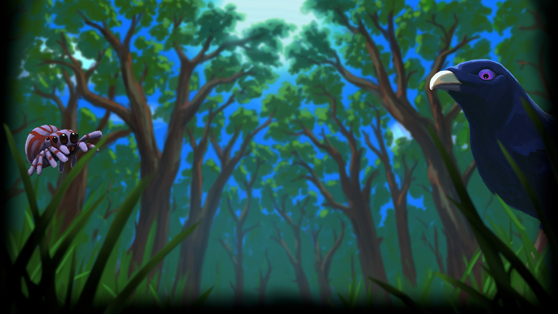Buddy and Bowerbird
