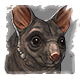 Series 1 - Outback Bat