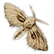 :umbralmoth: