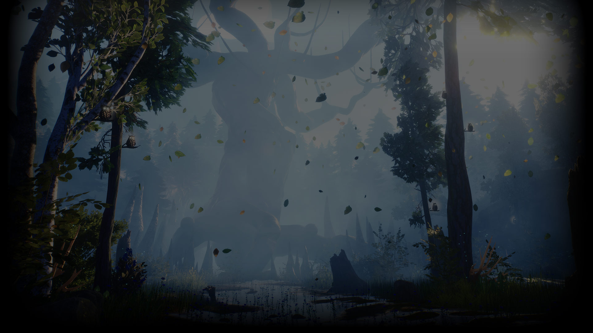 The Willow