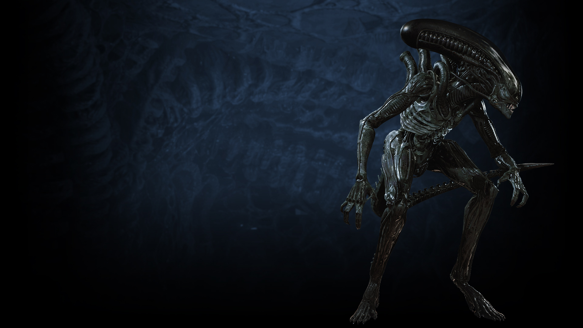 Xeno