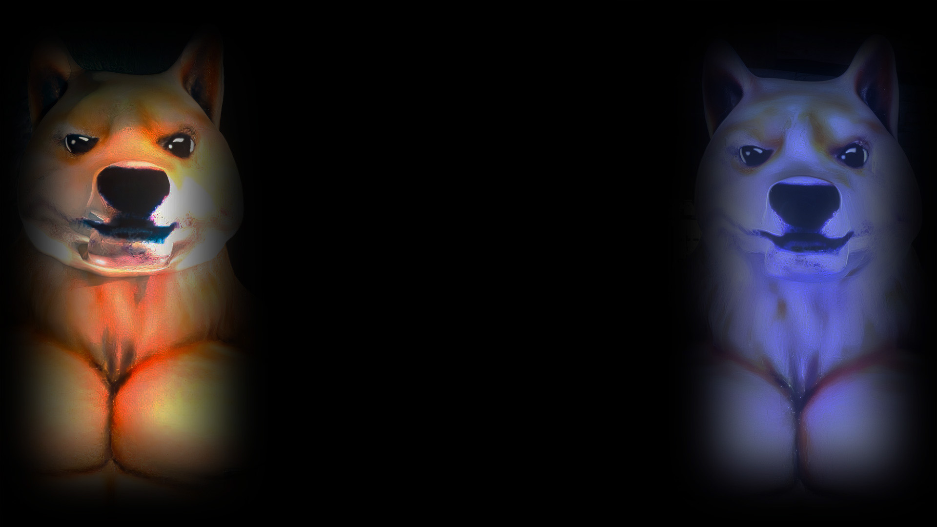 Doge