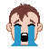 :sob_boy: