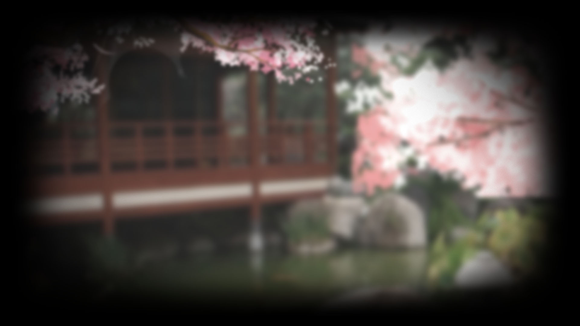 Sakura view 2