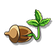 Series 1 - Oak Sprout