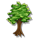 Series 1 - Oak Sapling