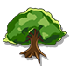 Series 1 - Oak Tree
