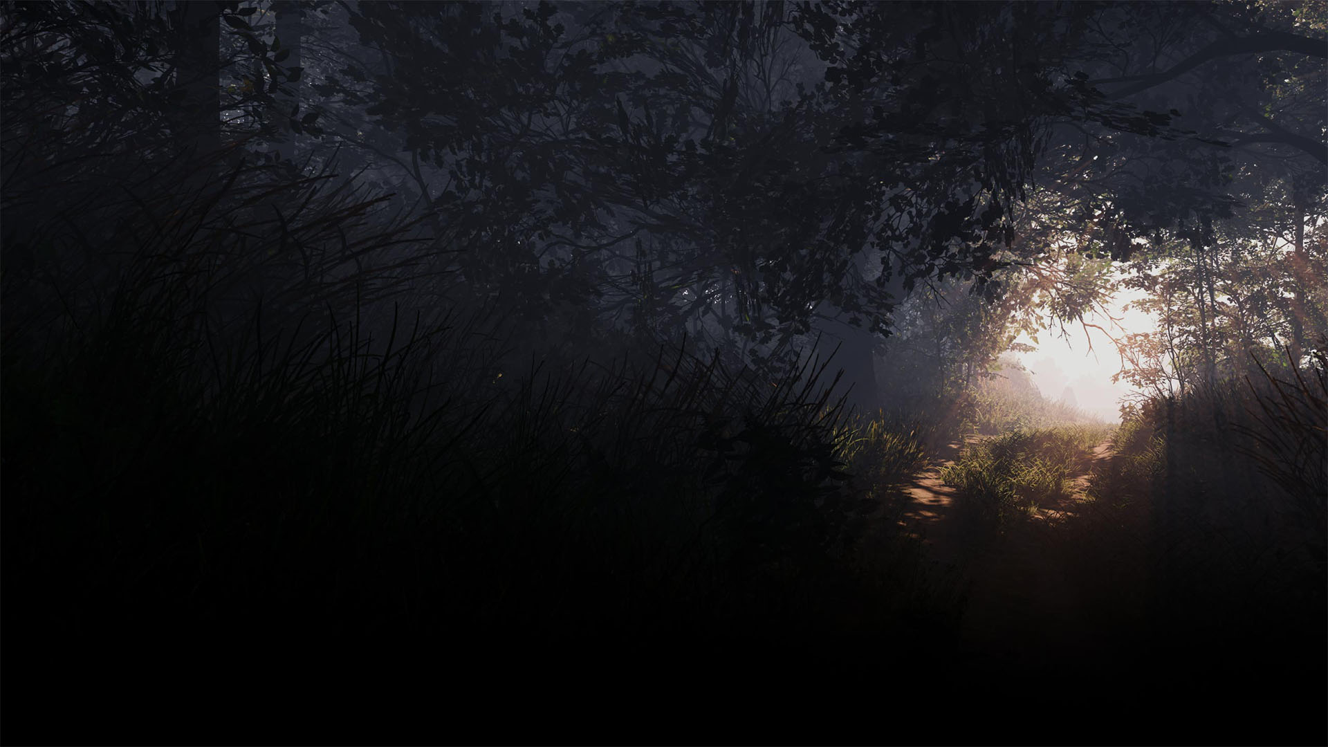 KCDII Forest