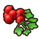 Series 1 - Currant