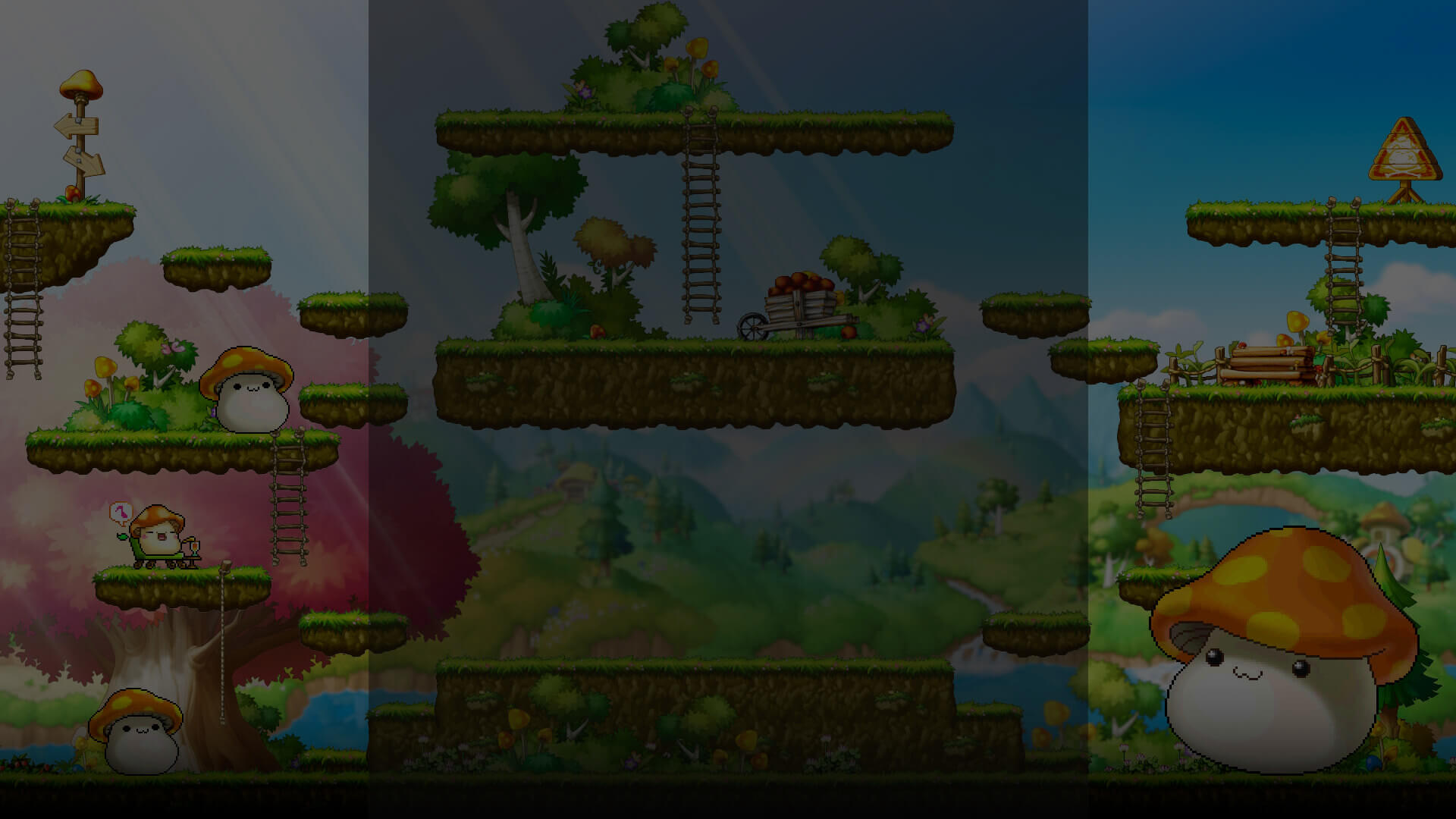 MapleStory Mushroom Profile Background