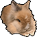 :yazs_sanji: