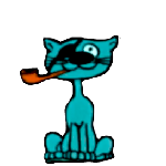 Funny Cat