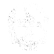 :63skull: