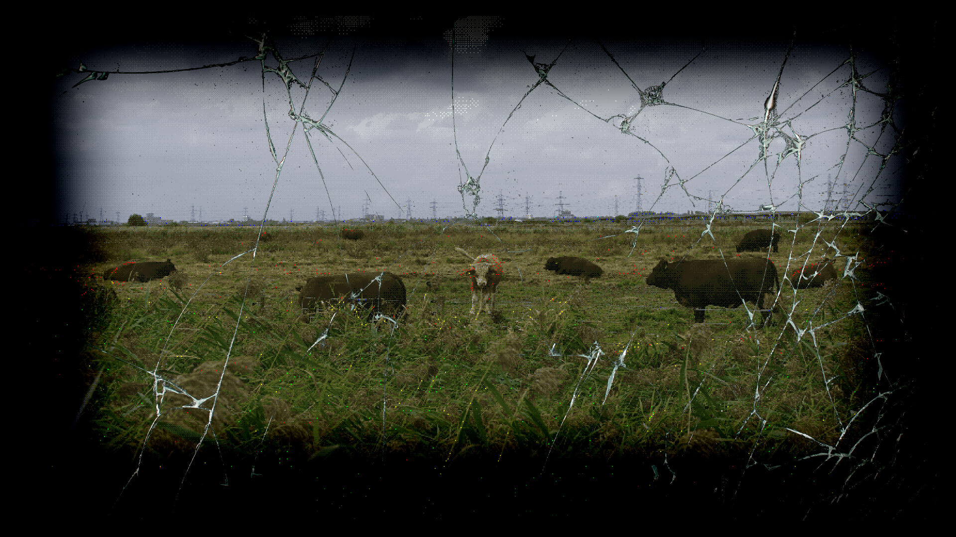 Field