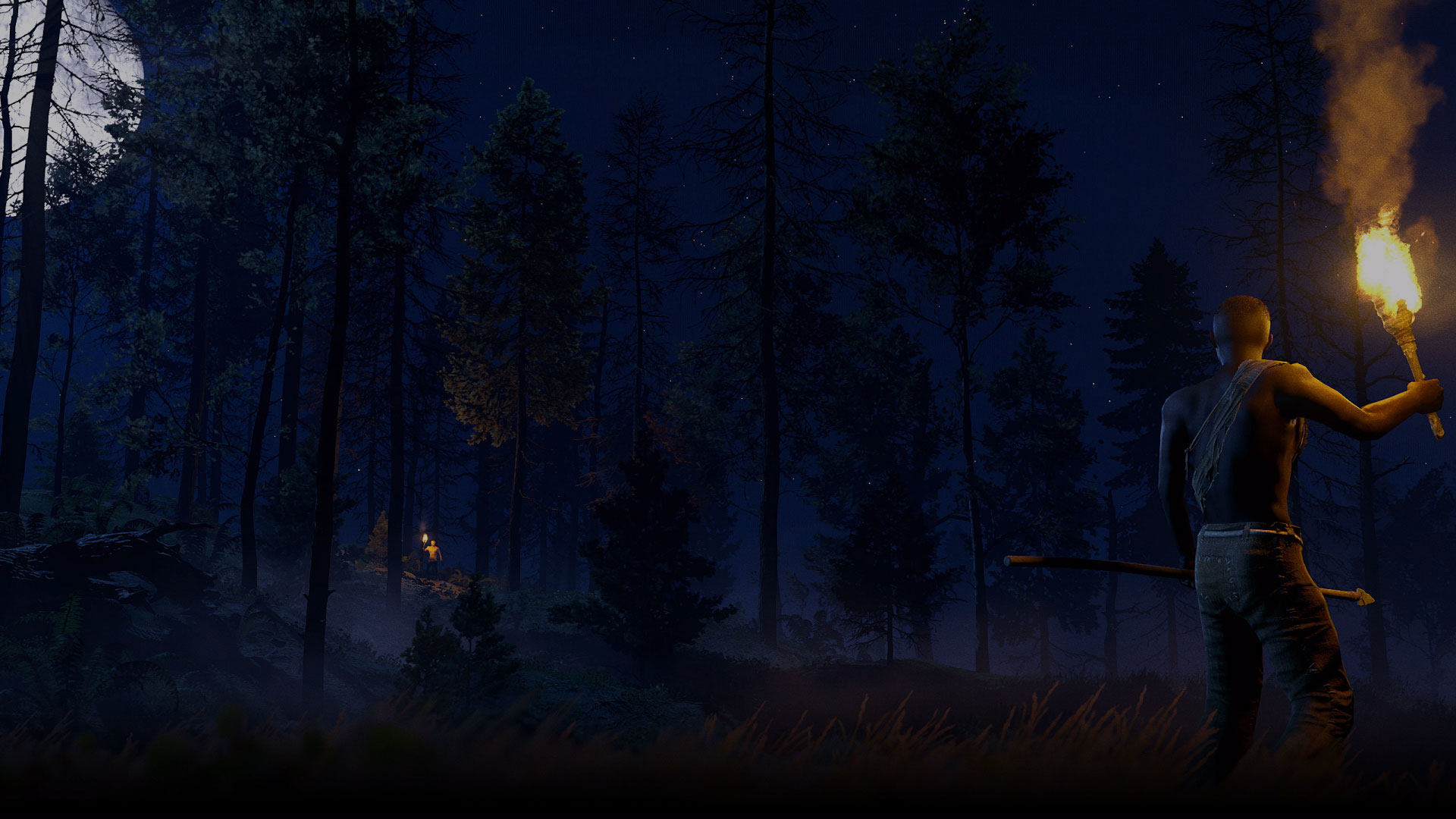 Forest Night
