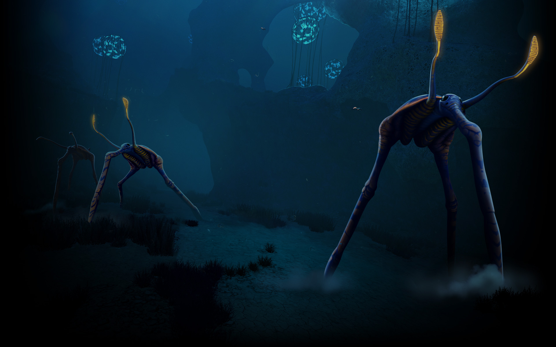 Sea  Treaders
