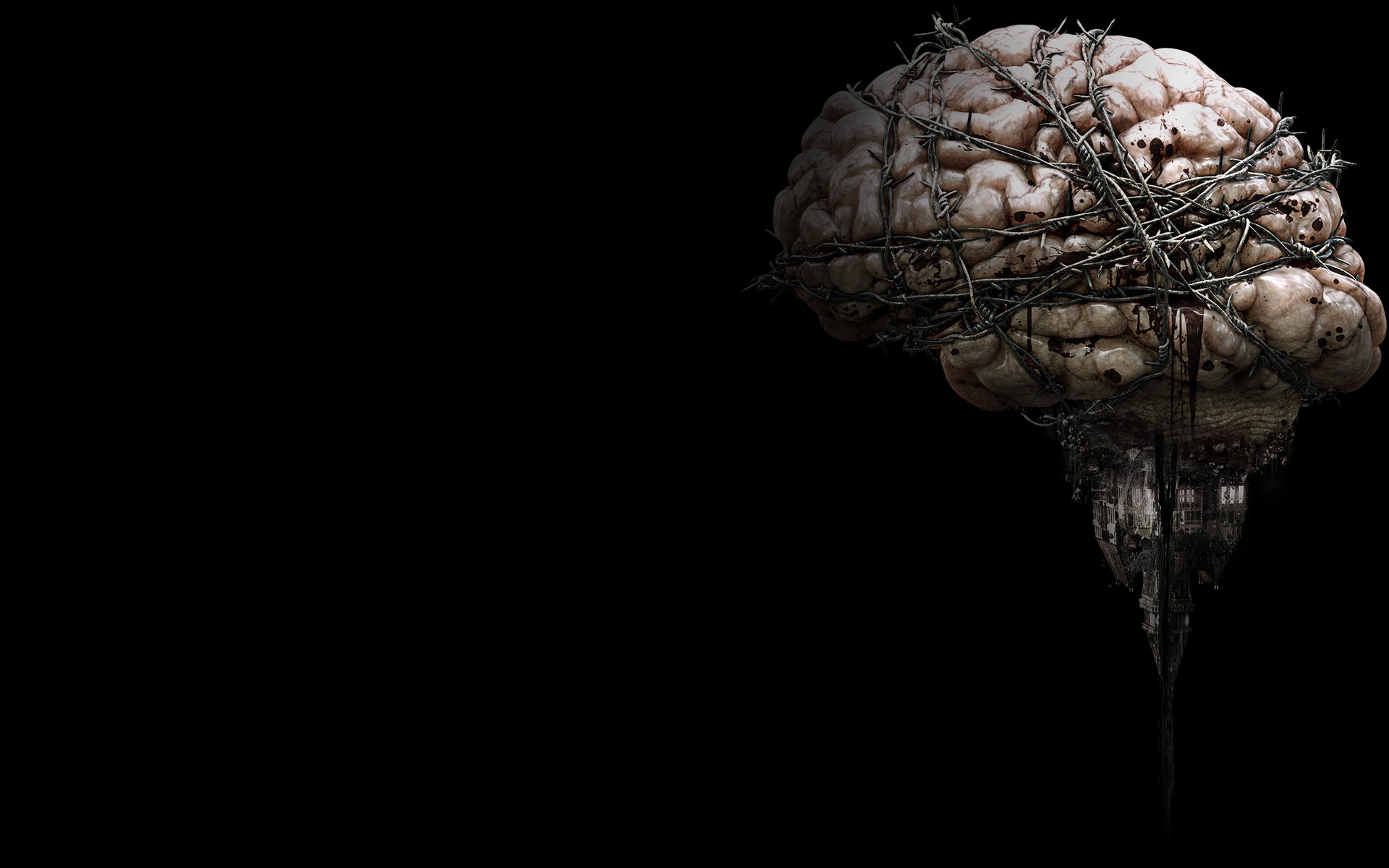The Brain