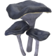 Series 1 - Black Trumpet