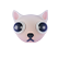 :CozyCleanerCat7: