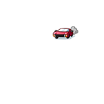 Civetta Bolide