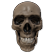 :SKULLSKIBIDI: