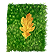 :MossCoverNotebook: