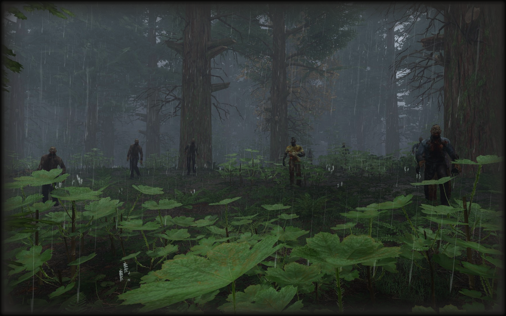Deep Woods