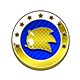 Series 1 - Shiny Gold Emblem