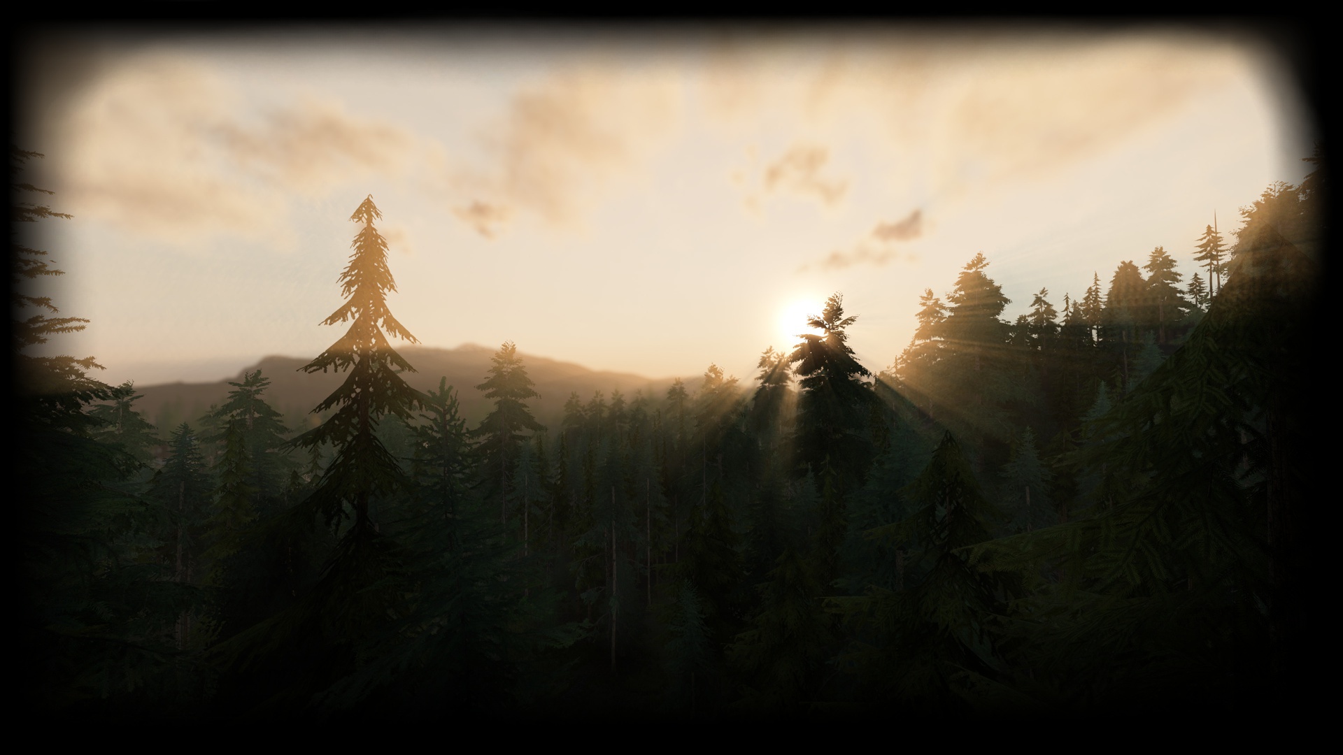 Woodlands