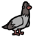 :Pidgeon: