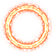 :lizard_fire_circle: