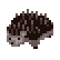 :HedgehogMorta: