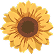:Icon_Sunflower: