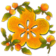 Series 1 - Golden Flower!