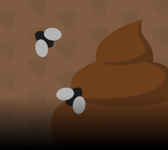 Сlassic poop