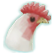 :Cockerel: