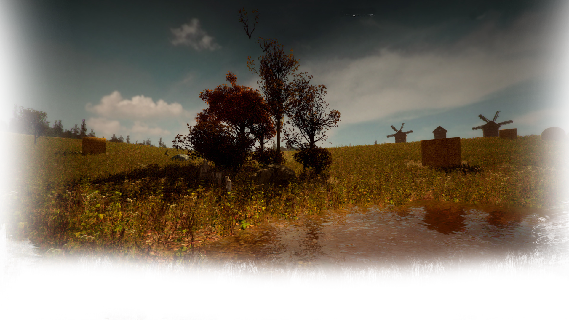 A puddle in the field